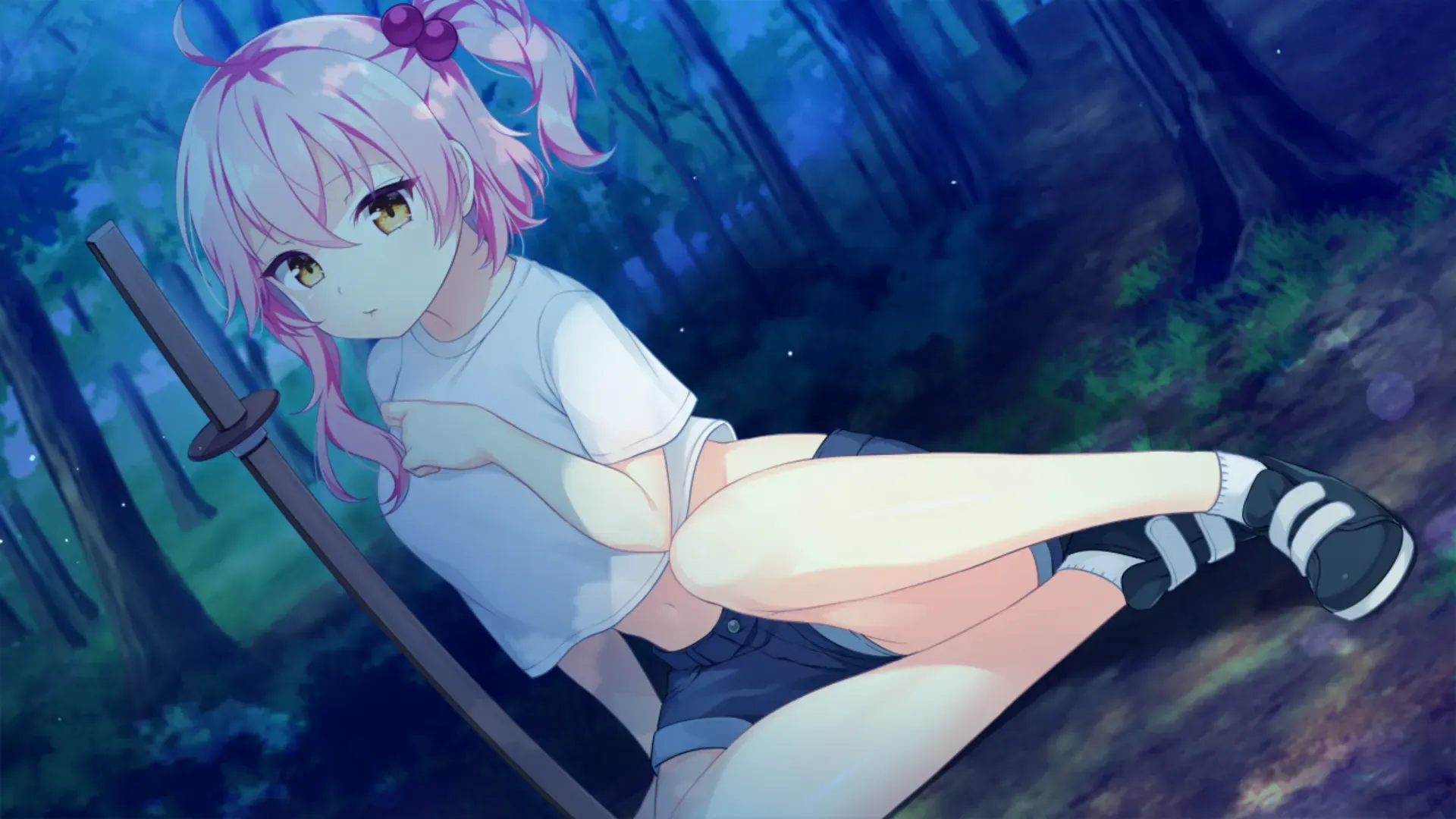 白刃闪耀的恋之旋律-寄