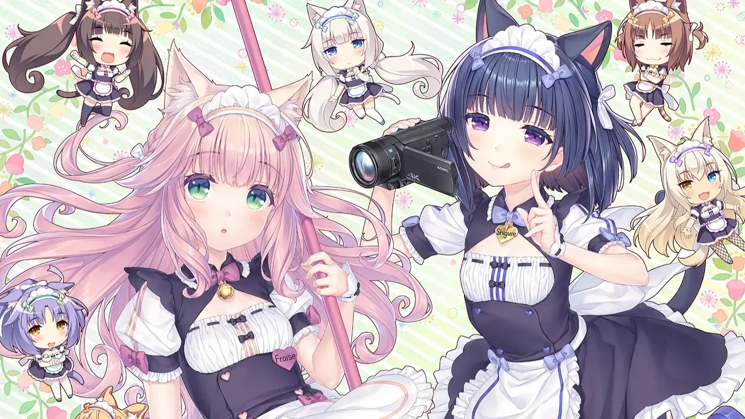 猫娘乐园 After-寄