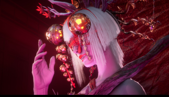 忍者龙剑传4豪华版-寄